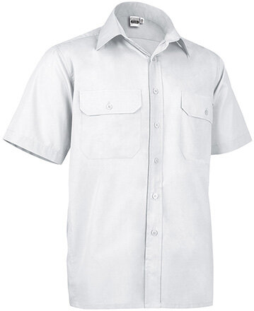 ACADEMY – m/corta adulto – colores